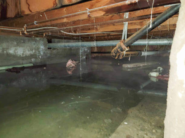 Sewage cleanup and water damage restoration in Newcastle, CA