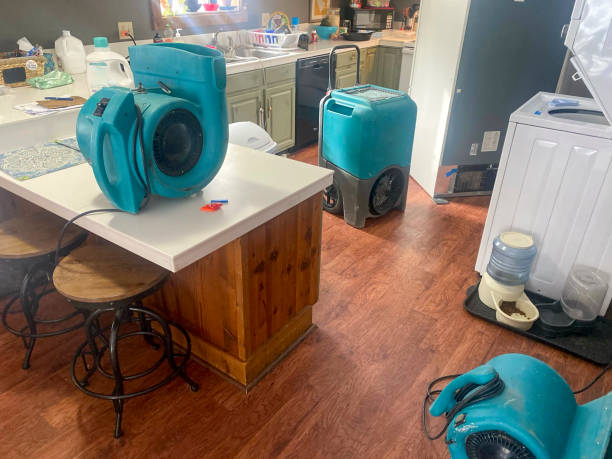 Best Water damage cleanup near me  in Newstle, CA