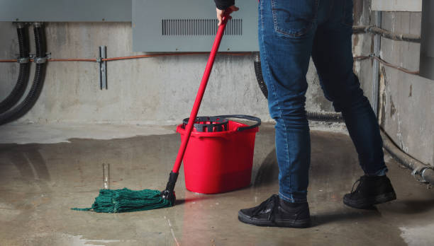 Best Basement water damage restoration  in Newstle, CA