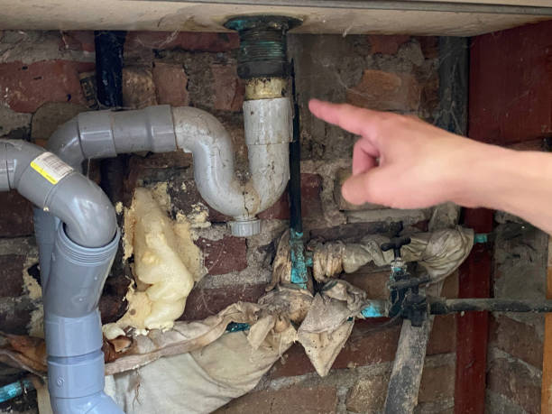 Best Flood damage cleanup  in Newstle, CA